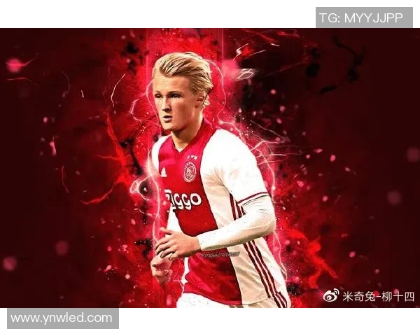 全球足球明星的摇篮哪个国家培养了最多的足球天才