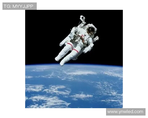 拉波尔特:探索科技与人文交汇的未来之路