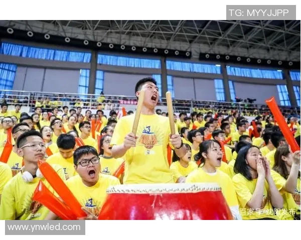 企鹅明星篮球赛盛况空前明星球员齐聚展现冰上风采与激情对决
