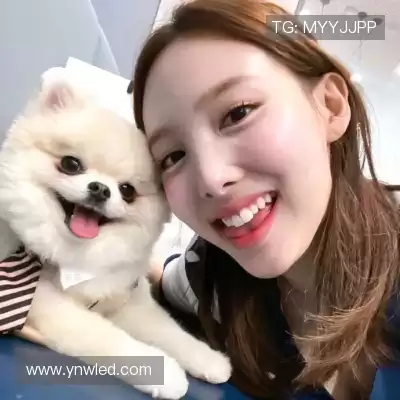 卓阳笛